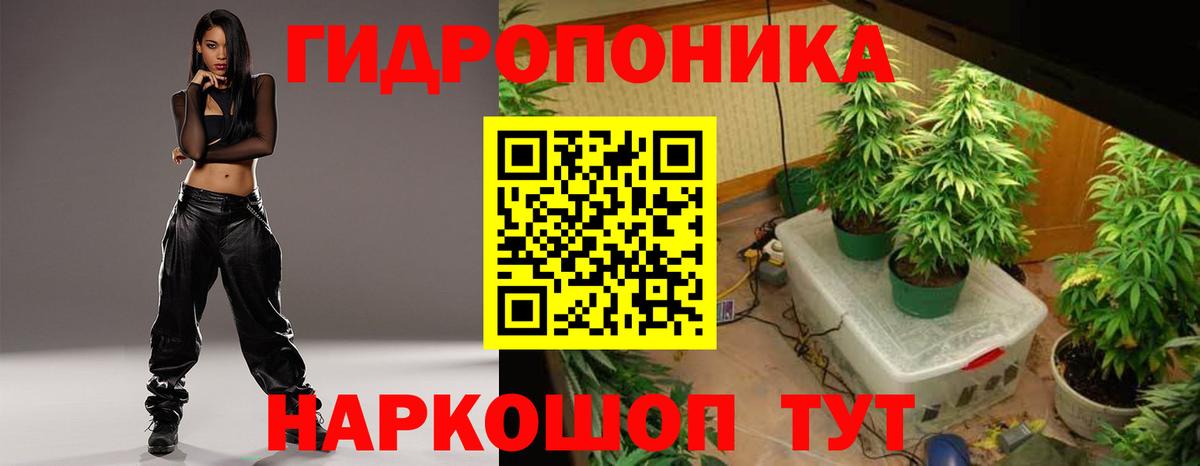 Звенигород  Каннабис семена  Вход с VPN  Канабис план  МАРИХУАНА сатива  Шишки марихуана Amnesia 